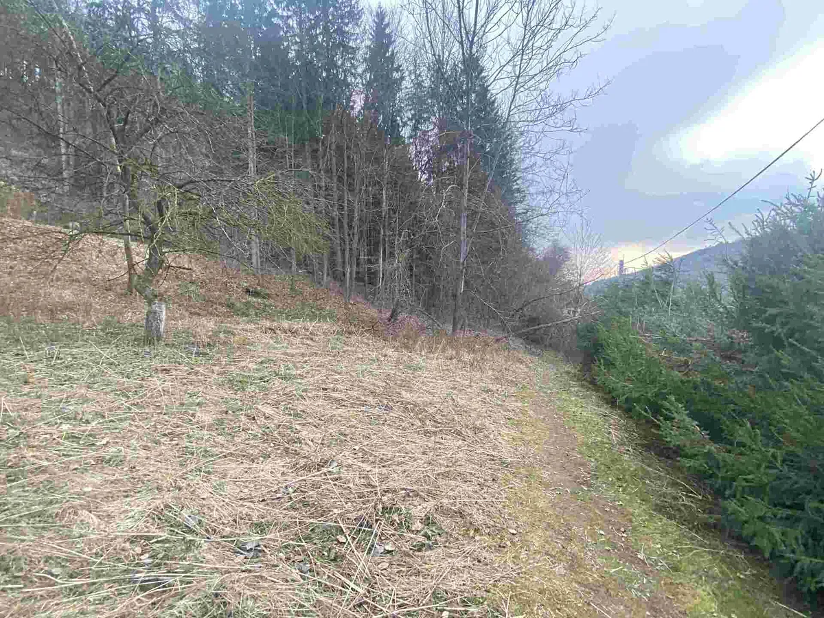 Prodej zahrady 903 m²